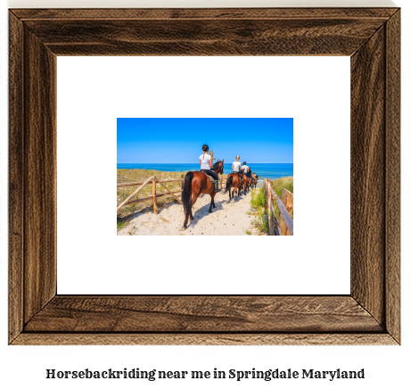 horseback riding near me in Springdale, Maryland